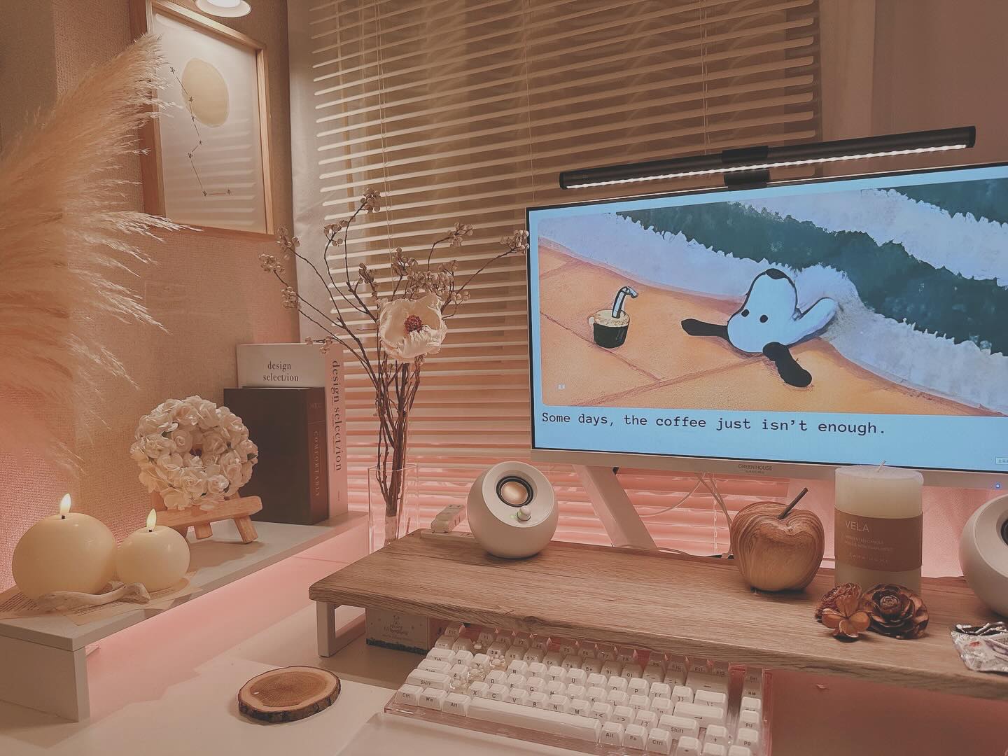 Japanese gaming setup