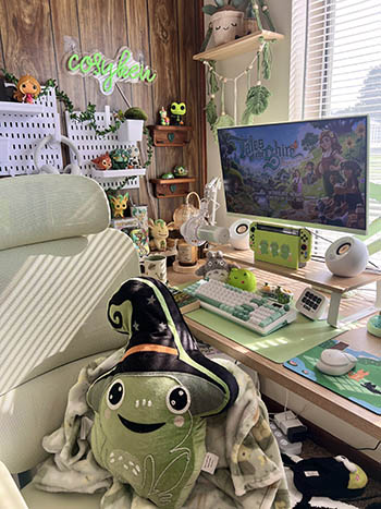 Cozy gaming setup